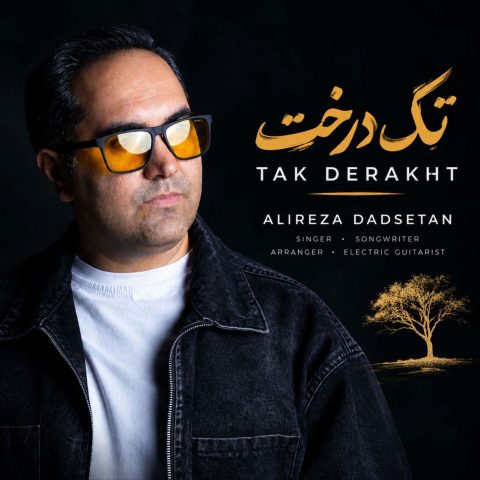دانلود آهنگ علیرضا دادستان تک درخت
